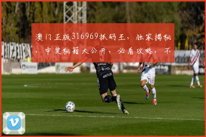 澳门正版316969抓码王，独家揭秘，中奖秘籍大公开，必看攻略，不容错过