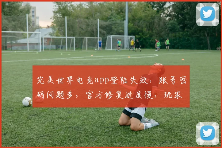 完美世界电竞app登陆失效，账号密码问题多，官方修复进度慢，玩家急了，怎么办